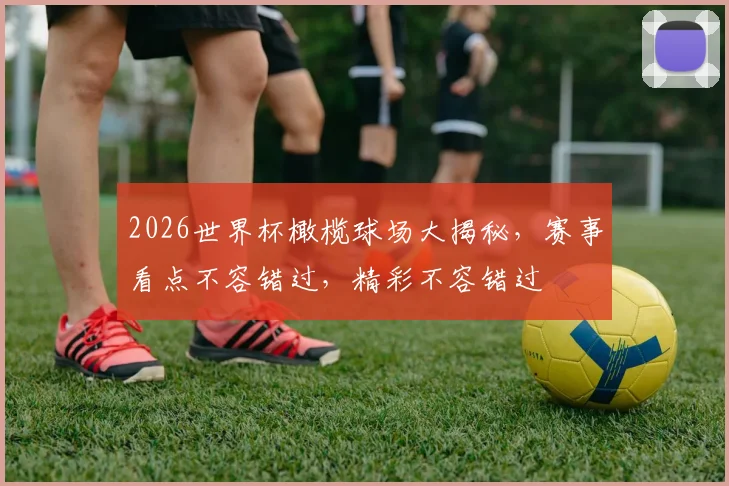 2026世界杯橄榄球场大揭秘，赛事看点不容错过，精彩不容错过